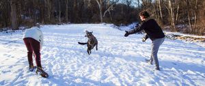 A group of people playing and having fun in a snowy winter landscape with trees in the background.