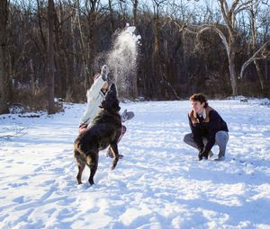 A playful dog jumps in the snow while spraying powder into the air during winter fun.