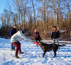 A group plays with a large dog in a snowy field surrounded by bare winter trees.