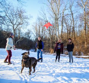 People toss a red frisbee while playing with their dog in a snow-covered landscape with bare trees.