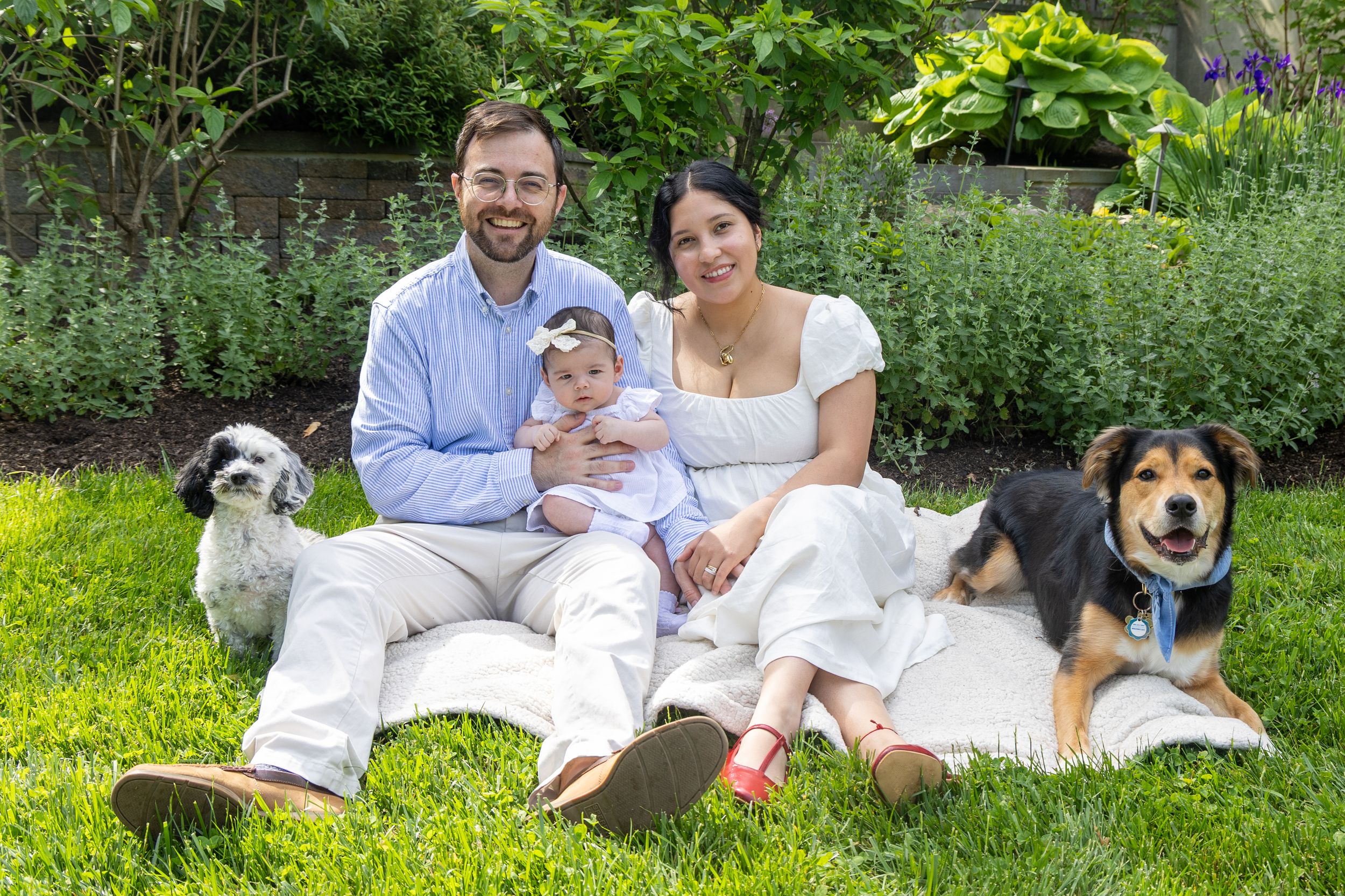 Happy family with baby and two dogs sitting on green grass in a garden for a portrait photo.