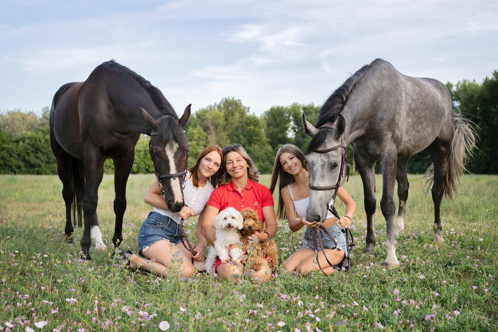 A family of Mom and her daughter sitting in a grassy field with two horses and two dogs around them during a family photoshoot in Sydney