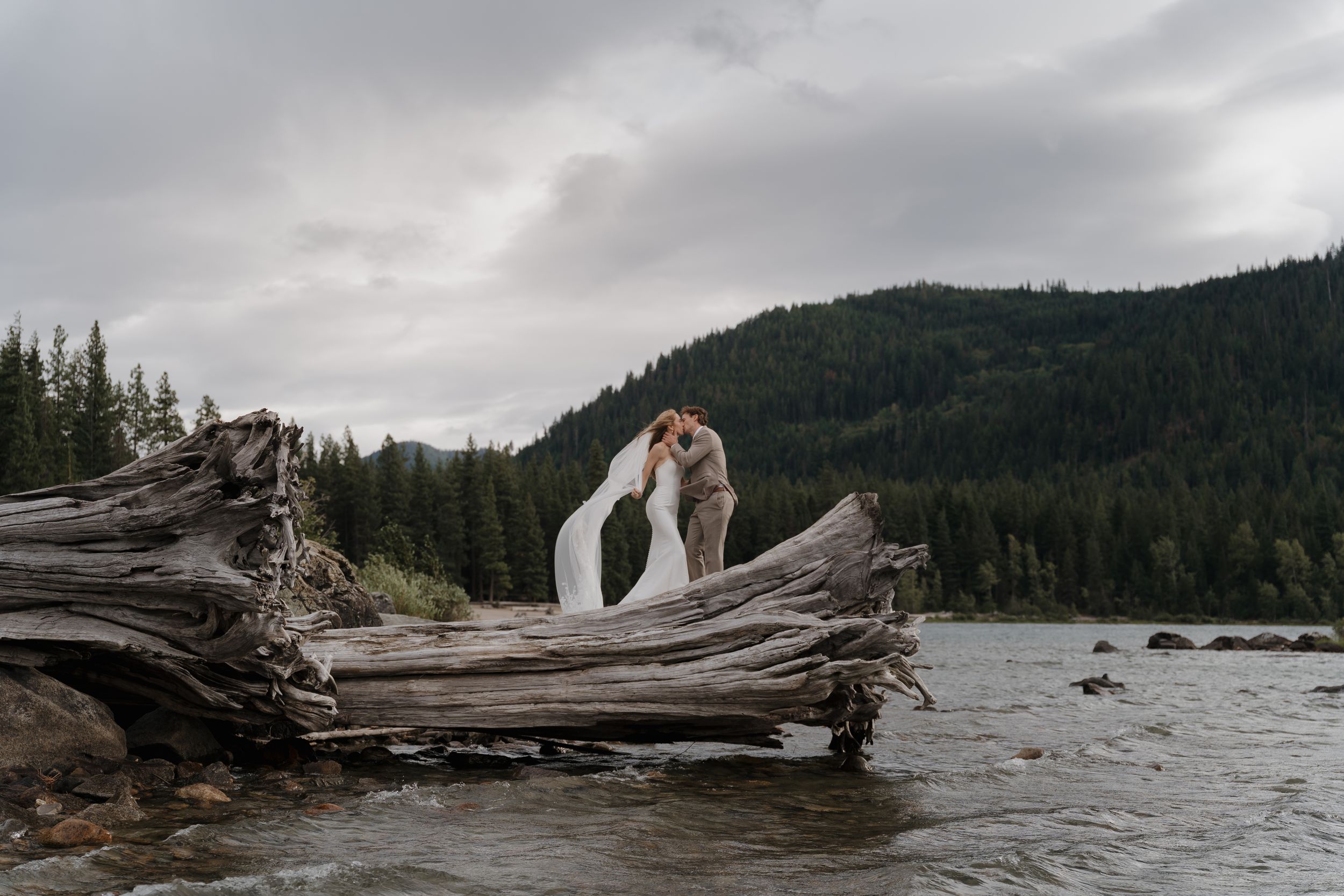 Scenic mountain lake landscape with large driftwood logs scattered along the water's edge under cloudy skies.