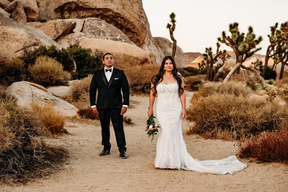 Couple standing separately looking off in the distance with rocks, brush and Joshua trees around them.