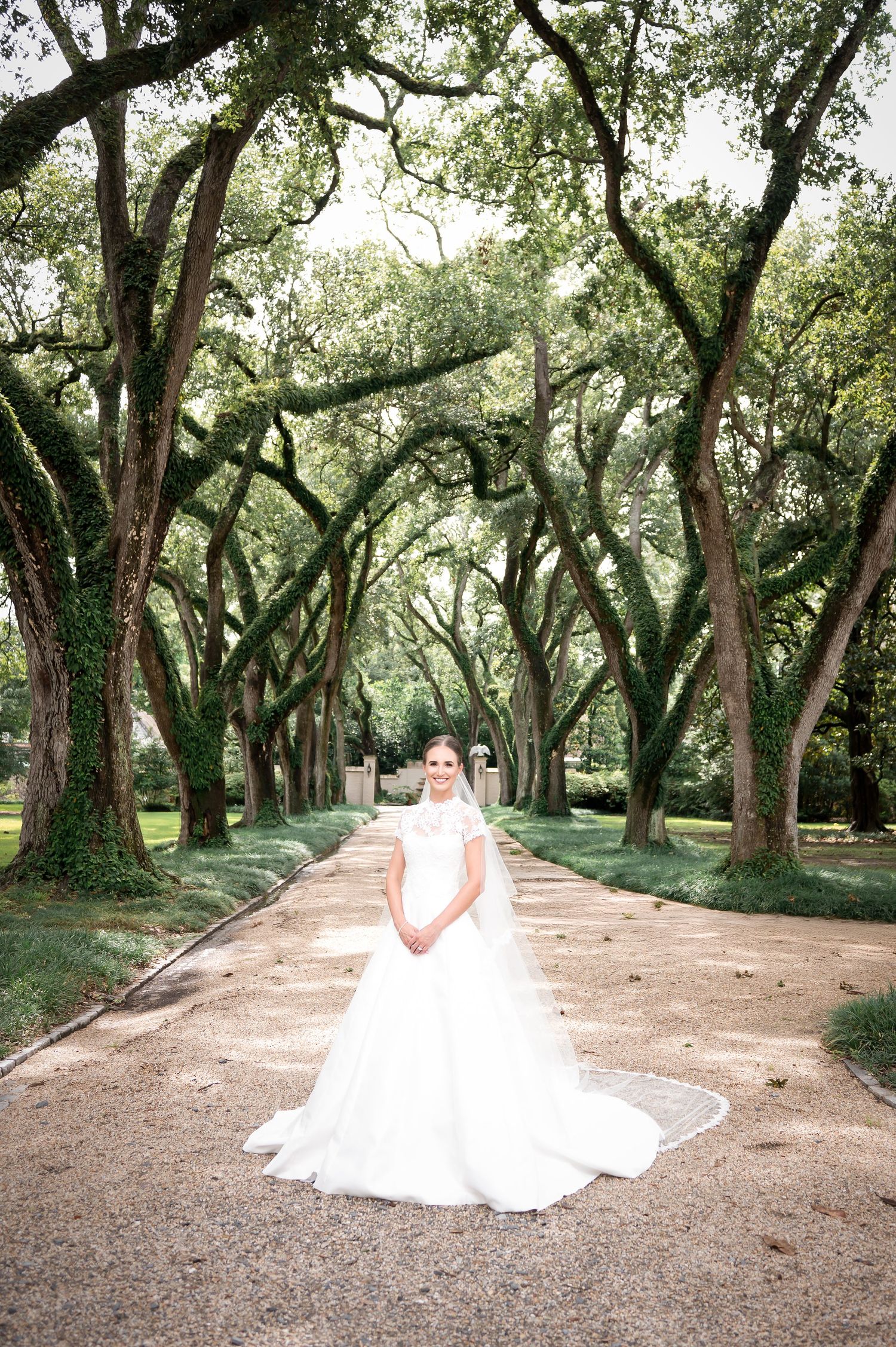 A stunning bridal session captured under a canopy of oak trees on a winding path.