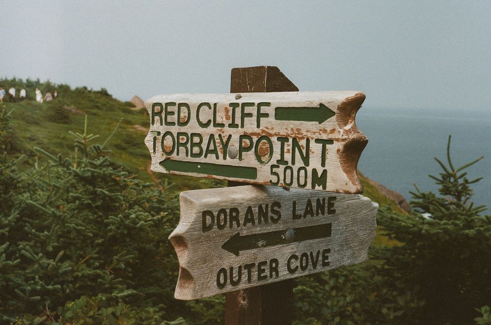 Film Photograph of an Elopement at Torbay Point St. John's Newfoundland by Documentary Wedding and Lifestyle Photographer Kaitlyn Yvette