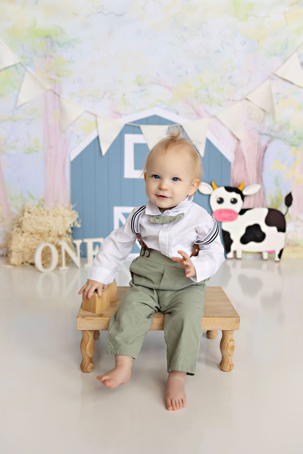 Baby Photographer in Wisconsin, studio in Watertown WI serving Dodge County Jefferson County and Waukesha County