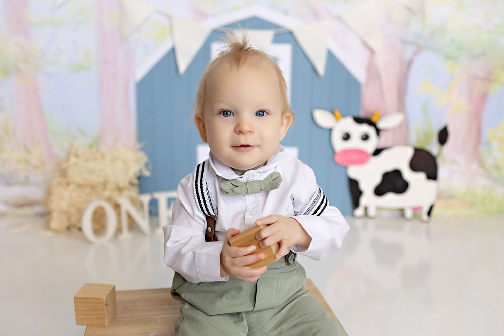 Baby Photographer in Wisconsin, studio in Watertown WI serving Dodge County Jefferson County and Waukesha County
