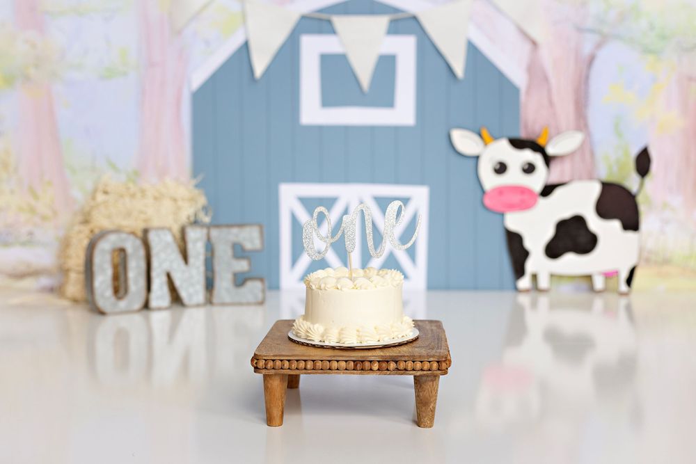 Baby Photographer in Wisconsin, studio in Watertown WI serving Dodge County Jefferson County and Waukesha County