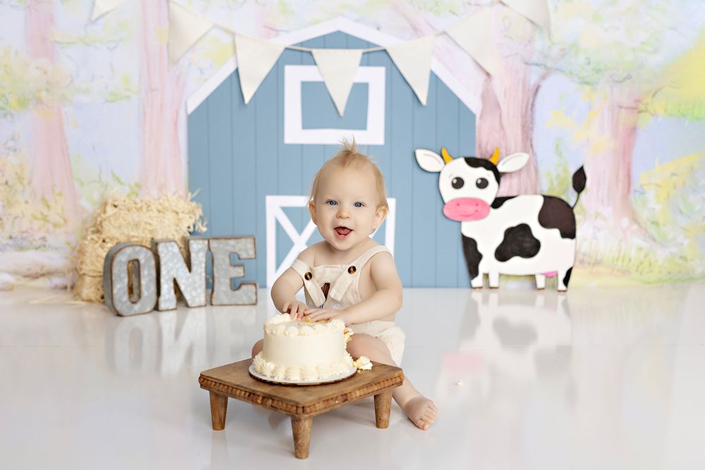 Baby Photographer in Wisconsin, studio in Watertown WI serving Dodge County Jefferson County and Waukesha County