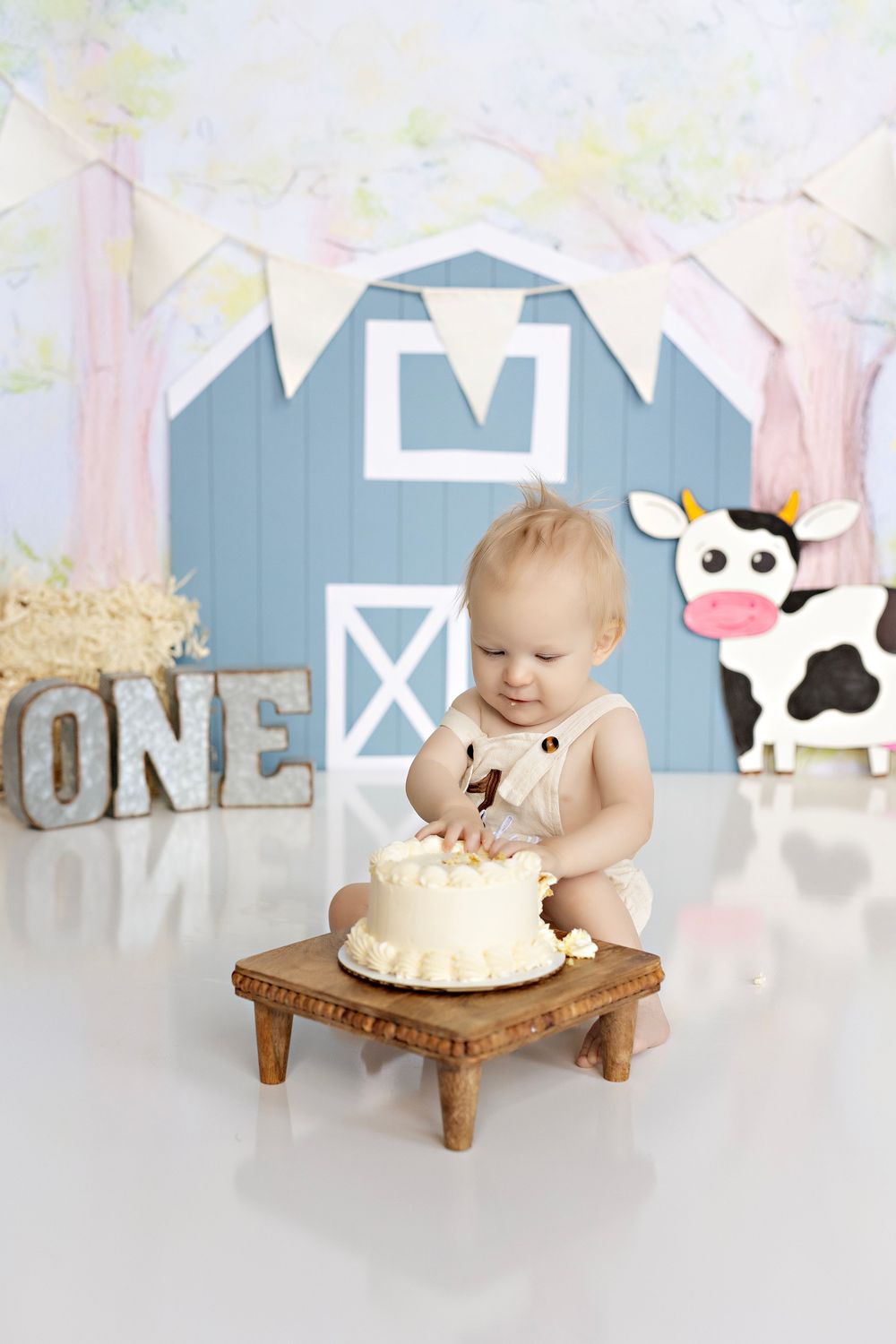 Baby Photographer in Wisconsin, studio in Watertown WI serving Dodge County Jefferson County and Waukesha County