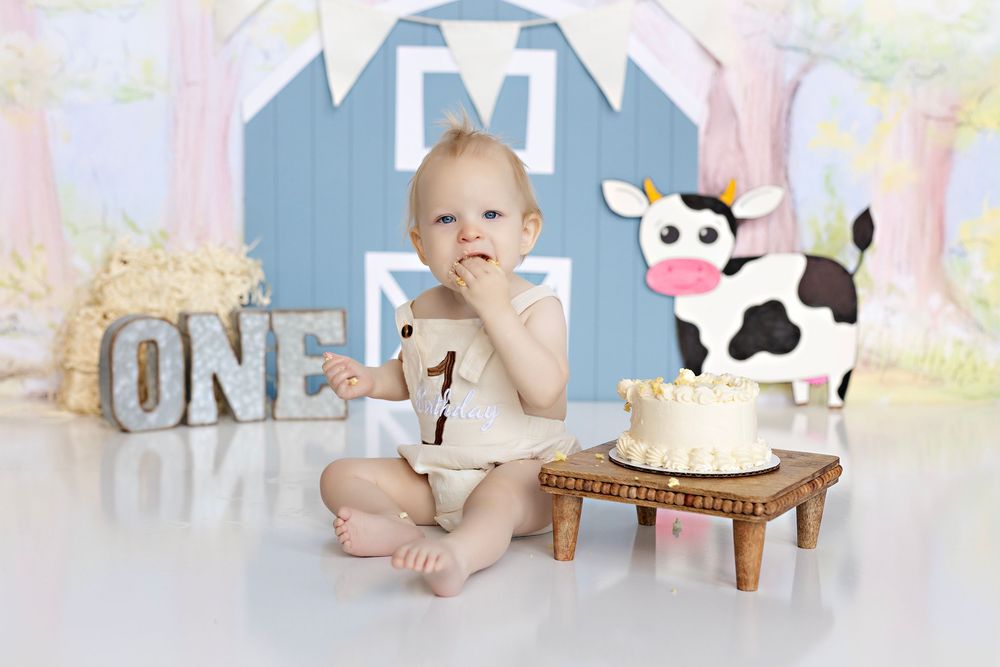 Baby Photographer in Wisconsin, studio in Watertown WI serving Dodge County Jefferson County and Waukesha County