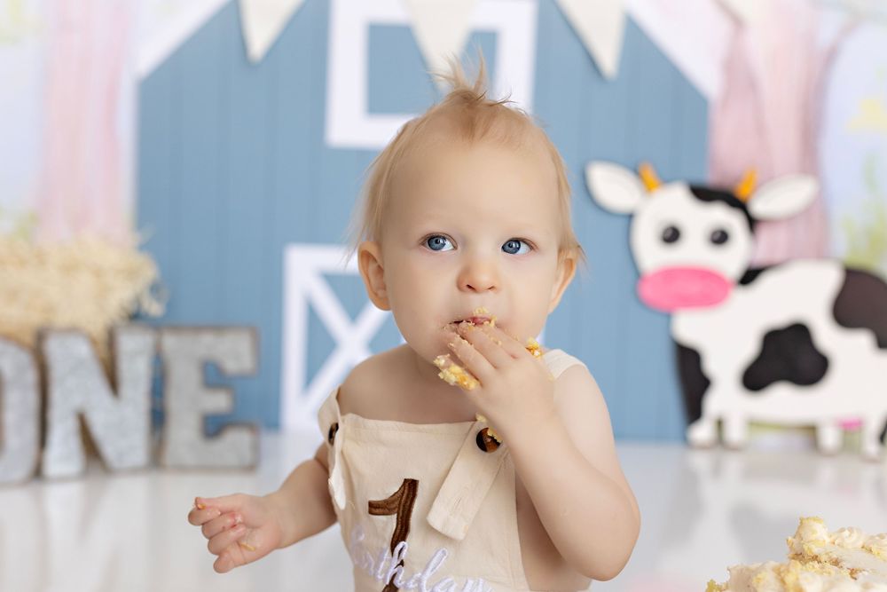Baby Photographer in Wisconsin, studio in Watertown WI serving Dodge County Jefferson County and Waukesha County