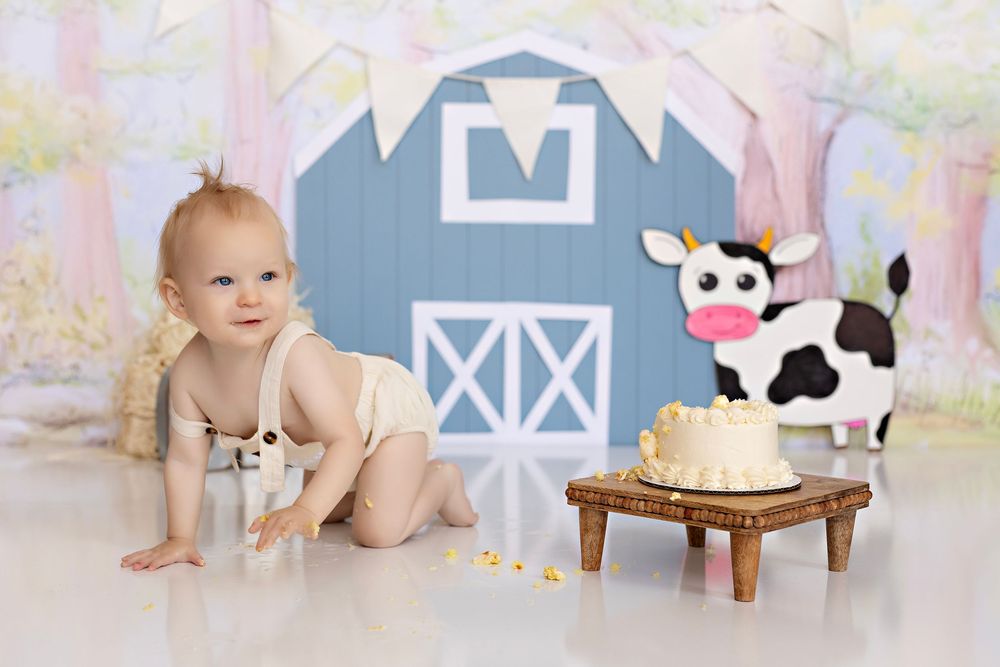 Baby Photographer in Wisconsin, studio in Watertown WI serving Dodge County Jefferson County and Waukesha County