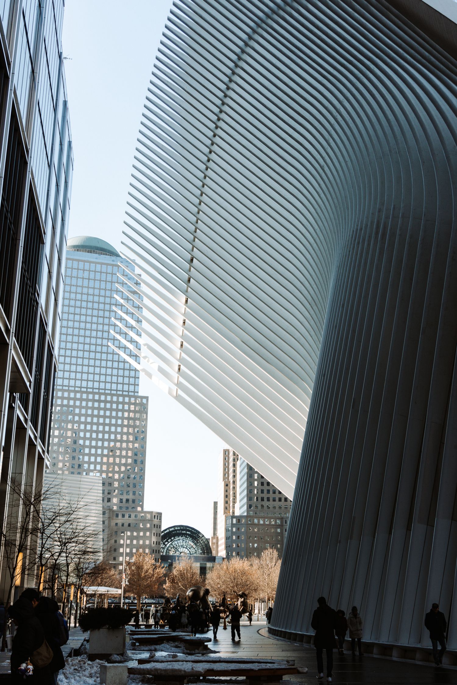 White ribbed architectural structure with curved lines against urban backdrop and winter trees.