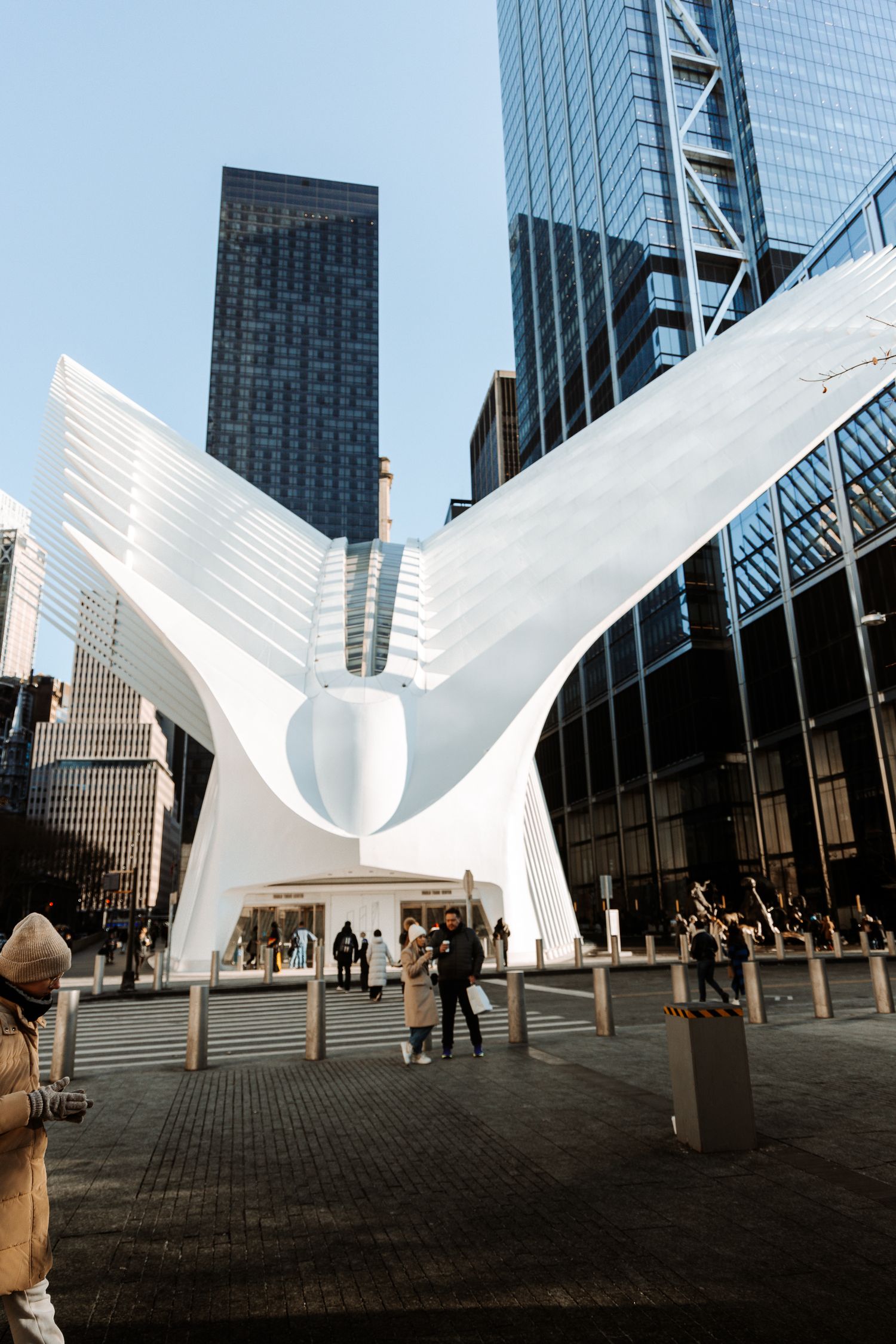 White architectural wing sculptures against modern glass buildings in an urban plaza.