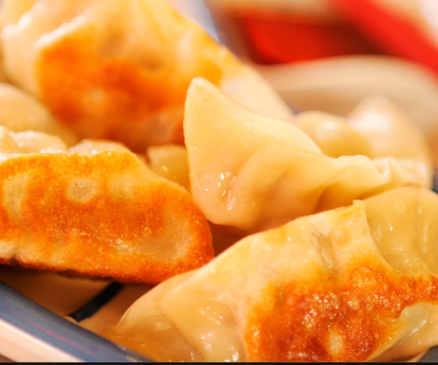 Close-up of golden pan-fried dumplings arranged in a row.