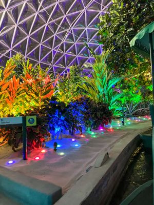 A concrete planter illuminated by colorful LED lights creating a vibrant rainbow effect along a garden wall at night.