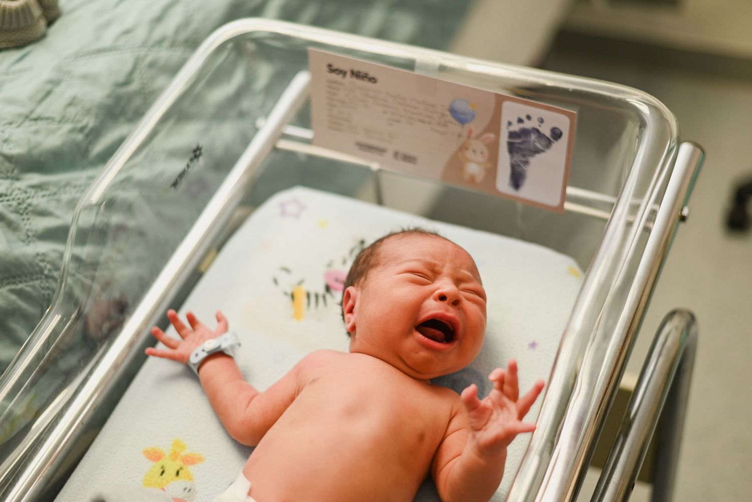 Newborn baby crying in clear hospital bassinet with hospital bracelet visible in view.