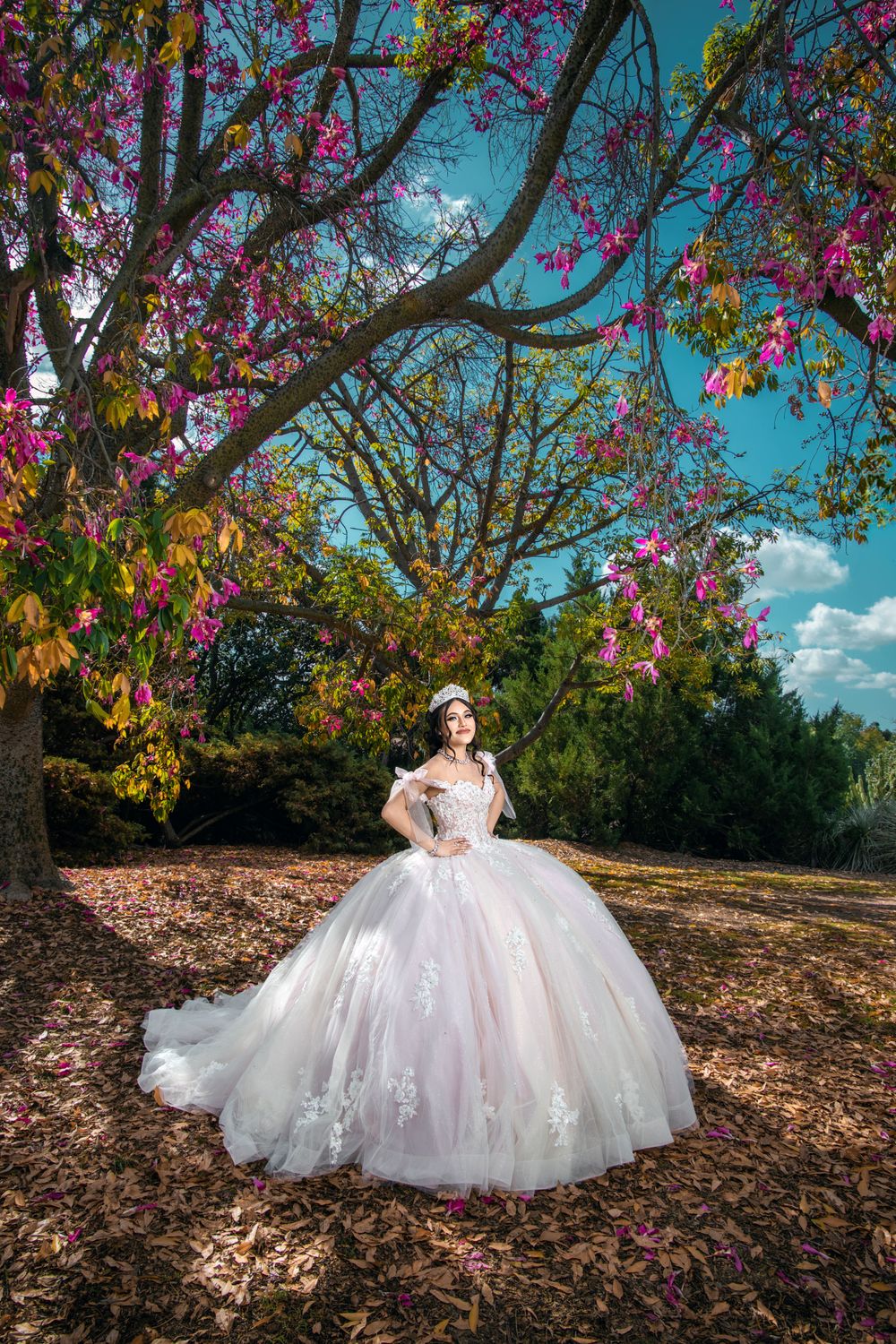 A stunning white ball gown wedding dress photographed under vibrant pink blossoms and a bright blue sky.