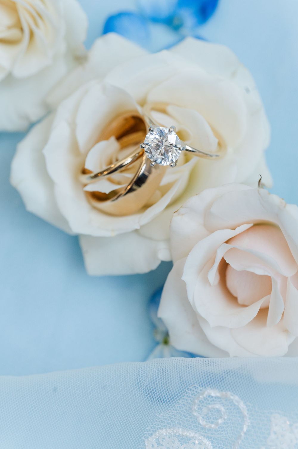 Three yellow gold rings sit instead a white rose for a details shot for a wedding at Parish of Christ the King in Tulsa, Oklahoma.