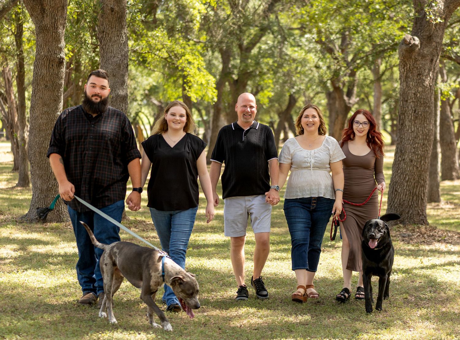 Group walking dogs together on tree-lined path in sunny park setting.