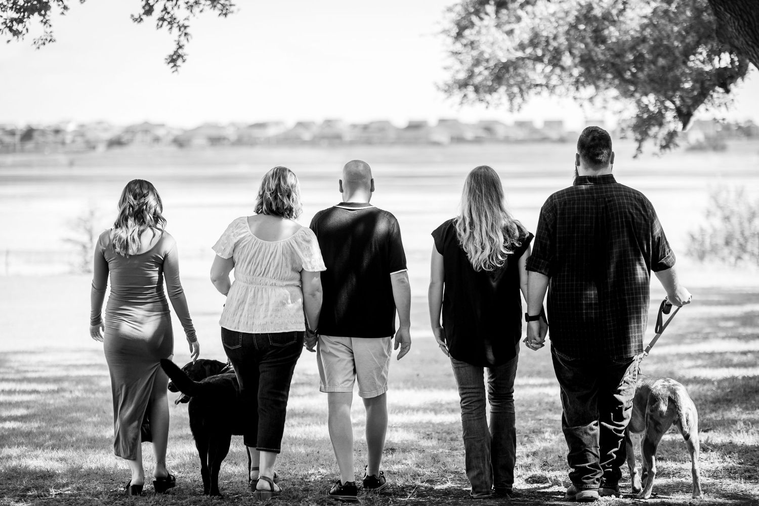 Black and white image of group walking with dogs along scenic path.
