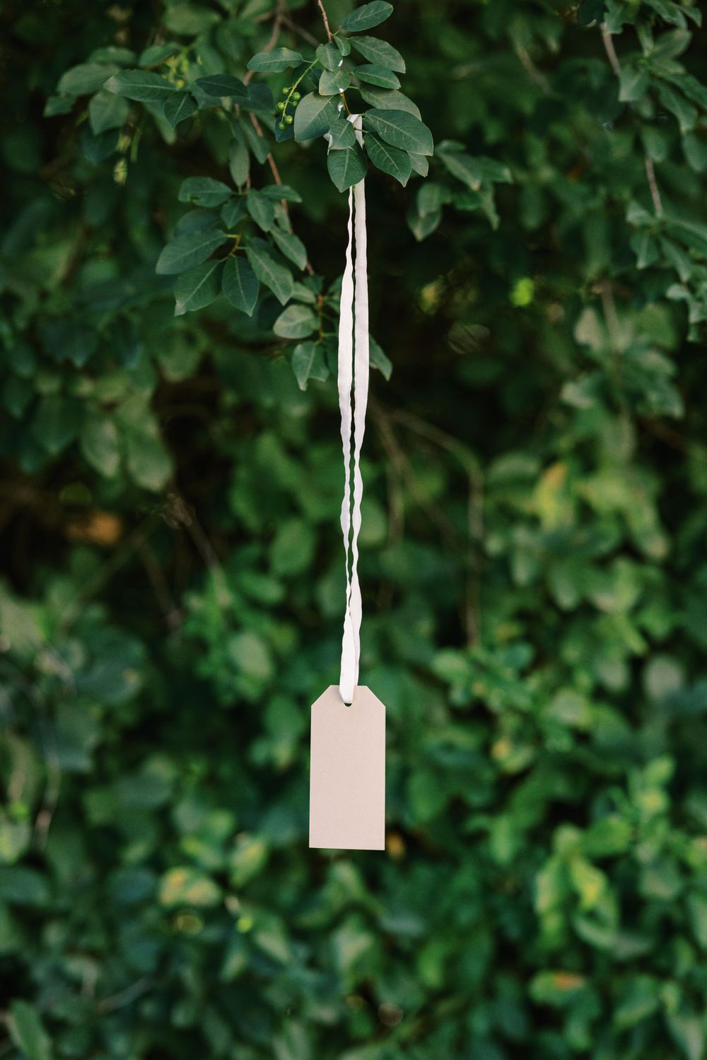 A blank beige paper tag hanging by white string against a green leafy background.