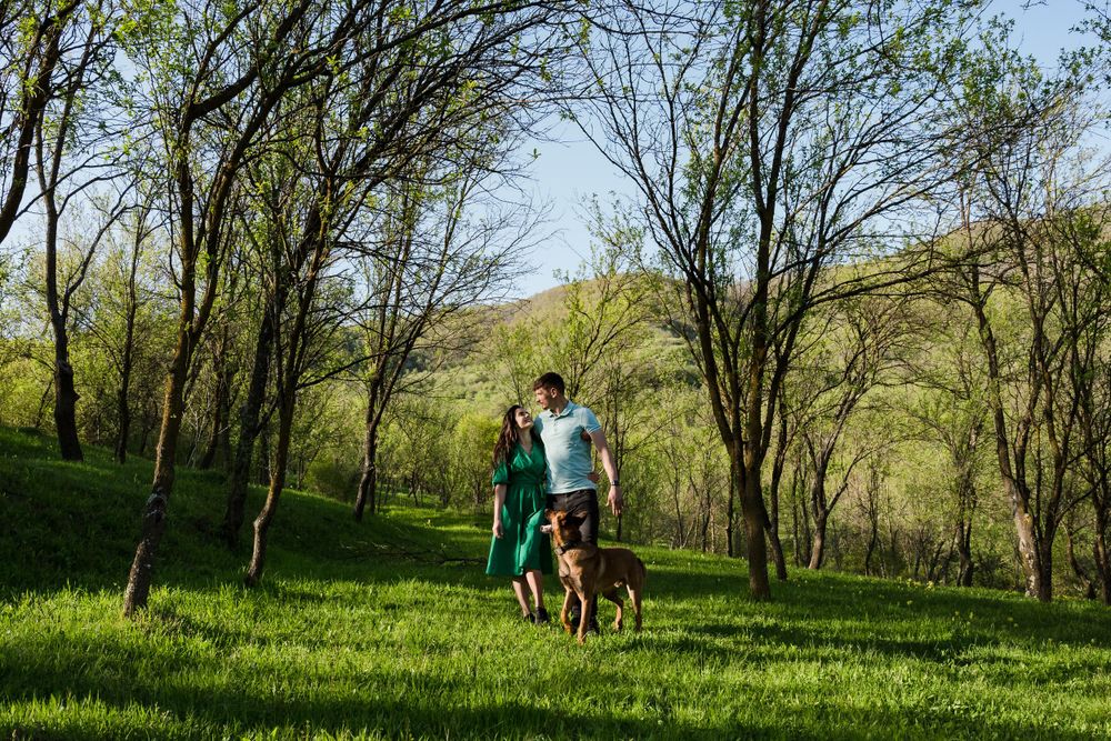 A scenic springtime meadow with trees and rolling hills in the background.