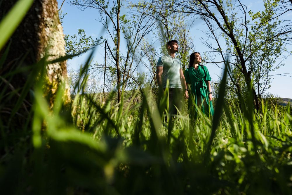 Tall grass frames a scenic view of trees and meadow on a sunny spring day.
