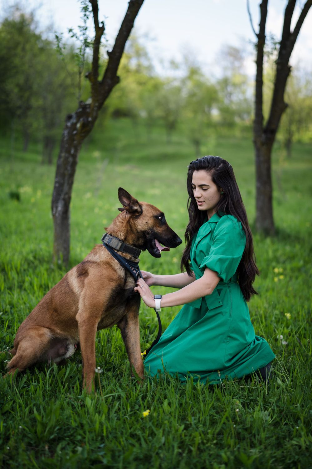 A German Shepherd interacts playfully with someone wearing a green dress in a spring meadow.