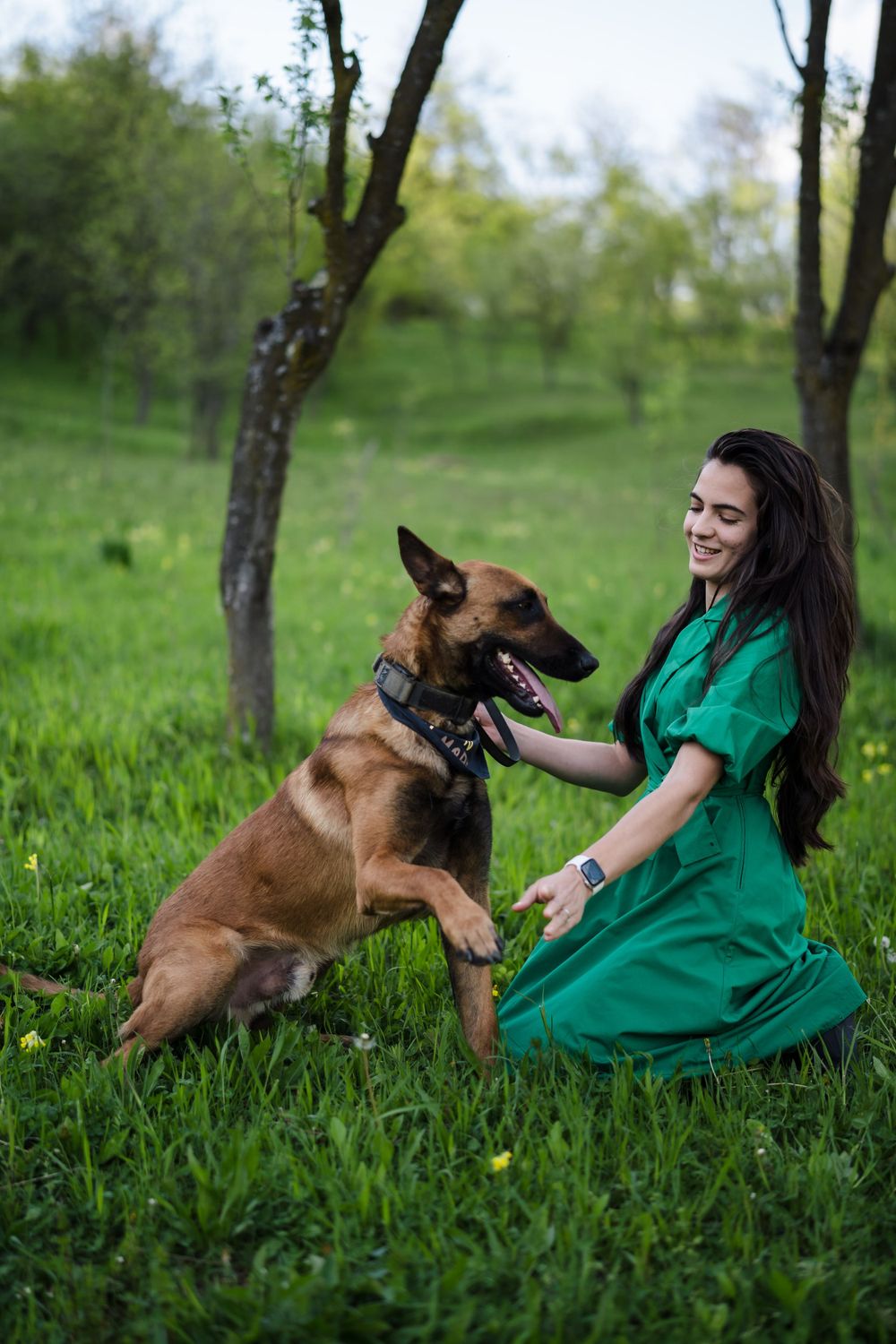 A German Shepherd plays energetically with someone in a green dress on a grassy hillside.