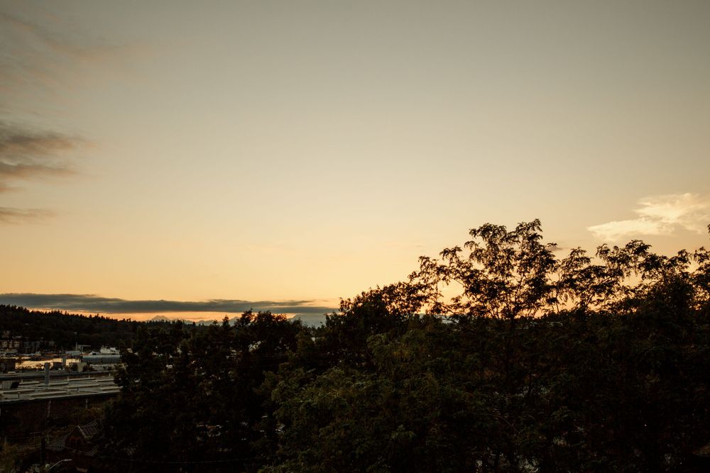 Silhouetted trees against a warm sunset sky with misty hills and buildings in the foreground.