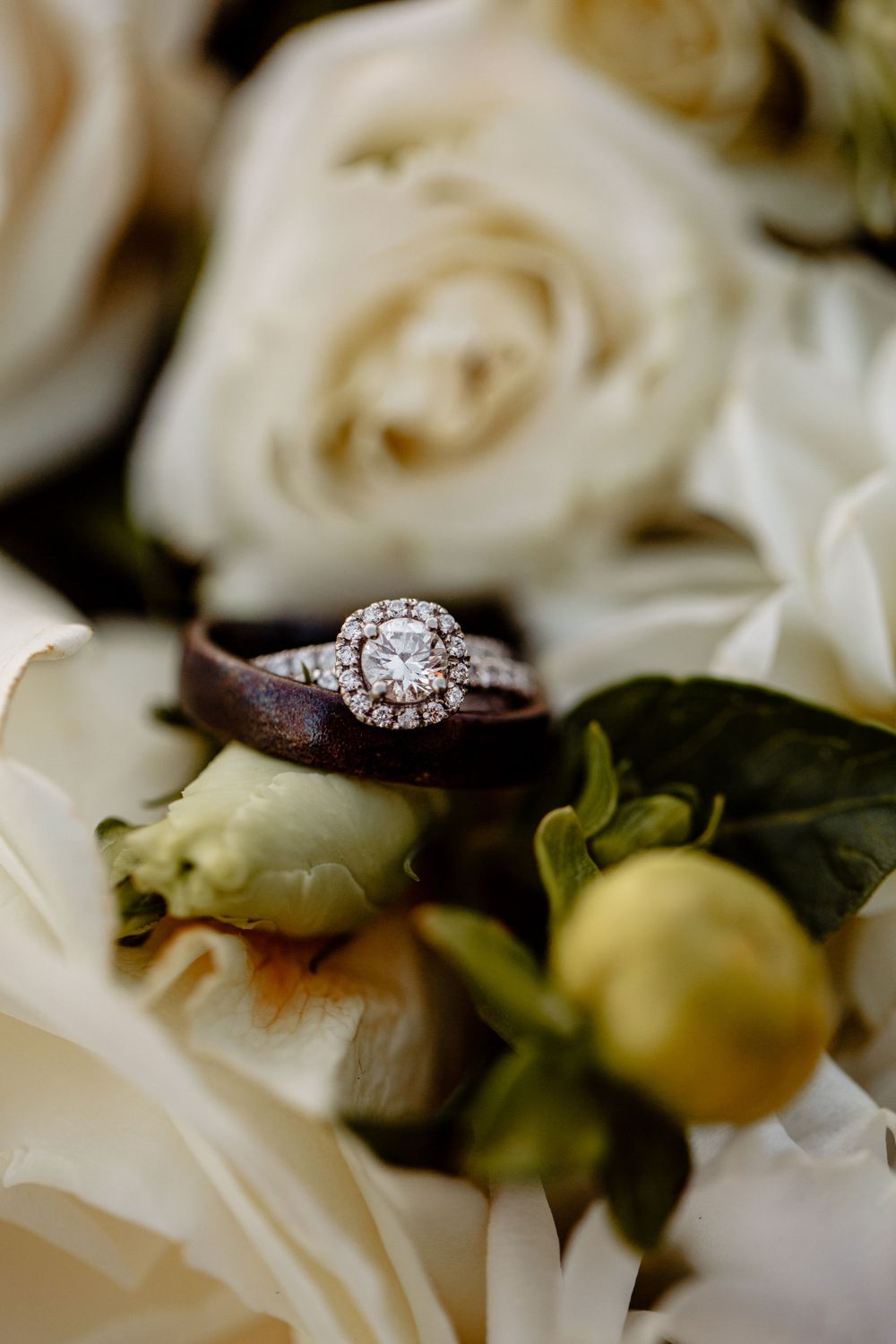 Diamond engagement ring nestled among white roses in macro photography.