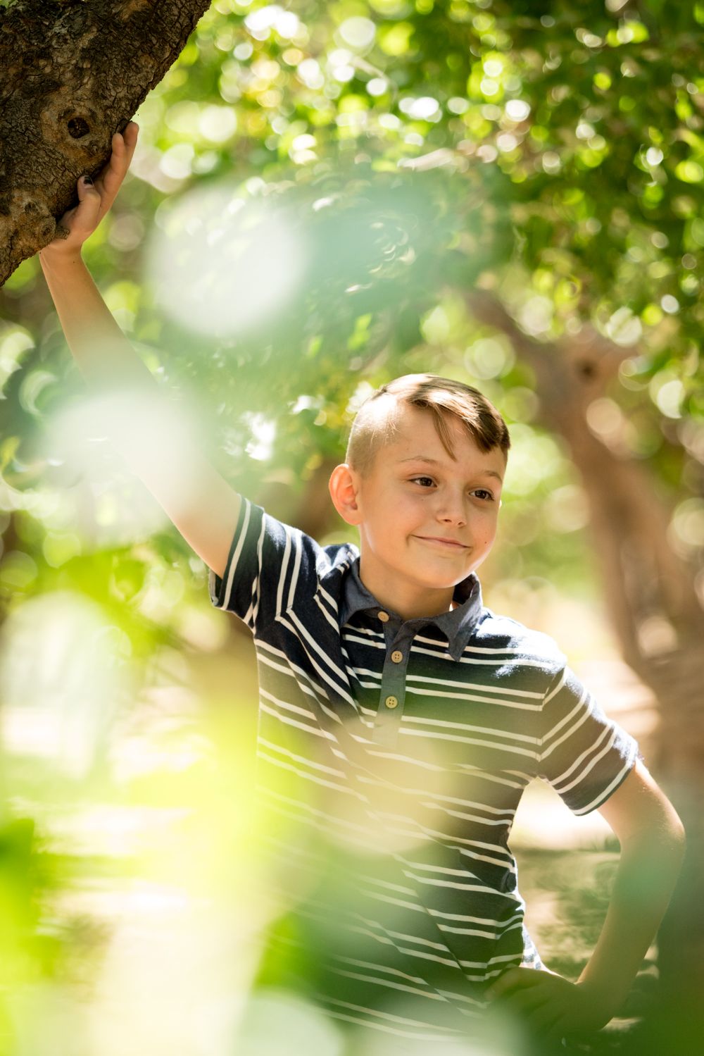 Young child in striped polo shirt climbing a tree on sunny day with dreamy bokeh effect in background.