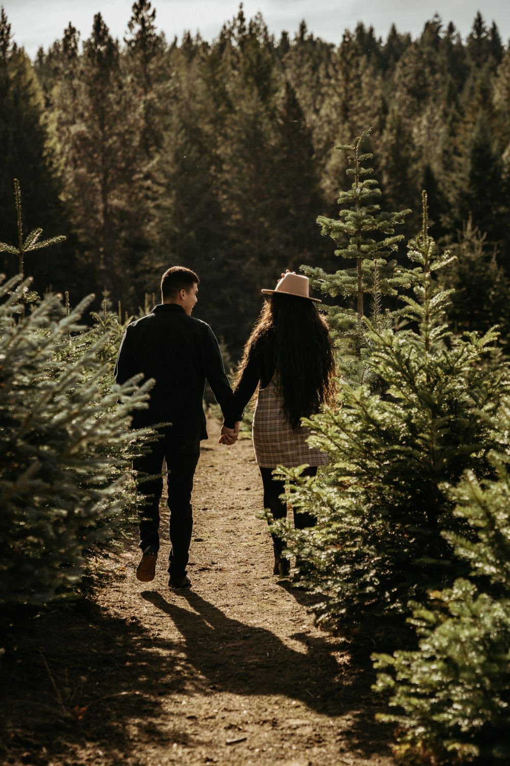 A couple walking hand in hand through a Christmas tree farm surrounded by evergreens.
