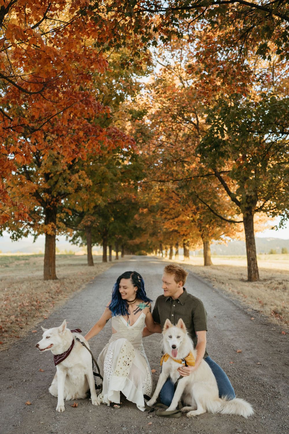 A couple sits with their two white dogs on a tree-lined autumn path with golden foliage overhead.