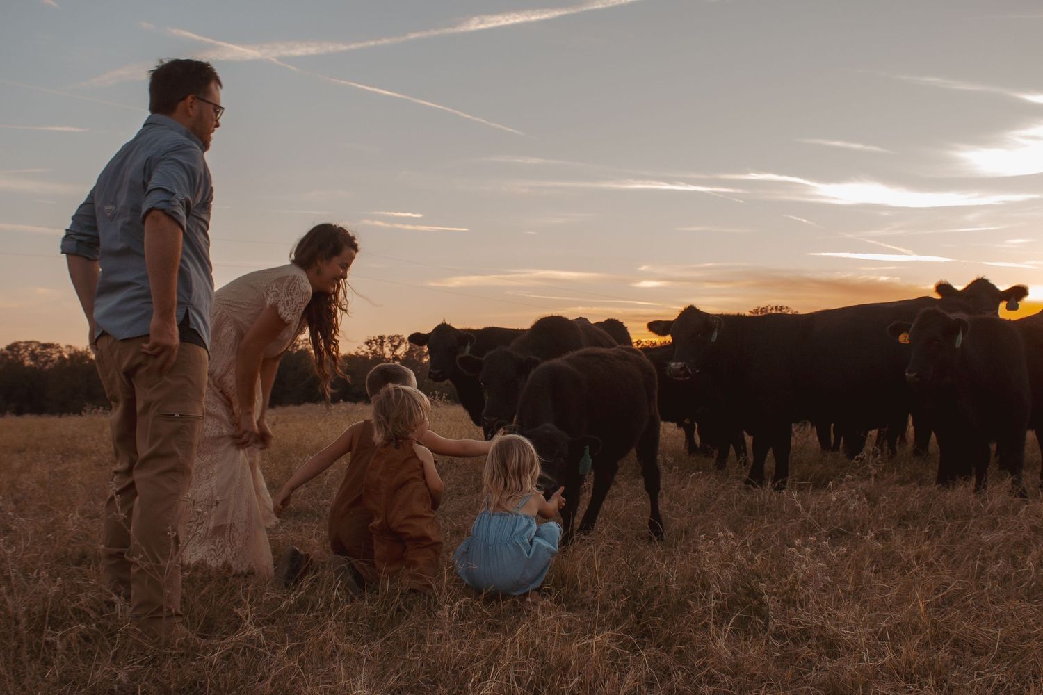Family/maternity photos