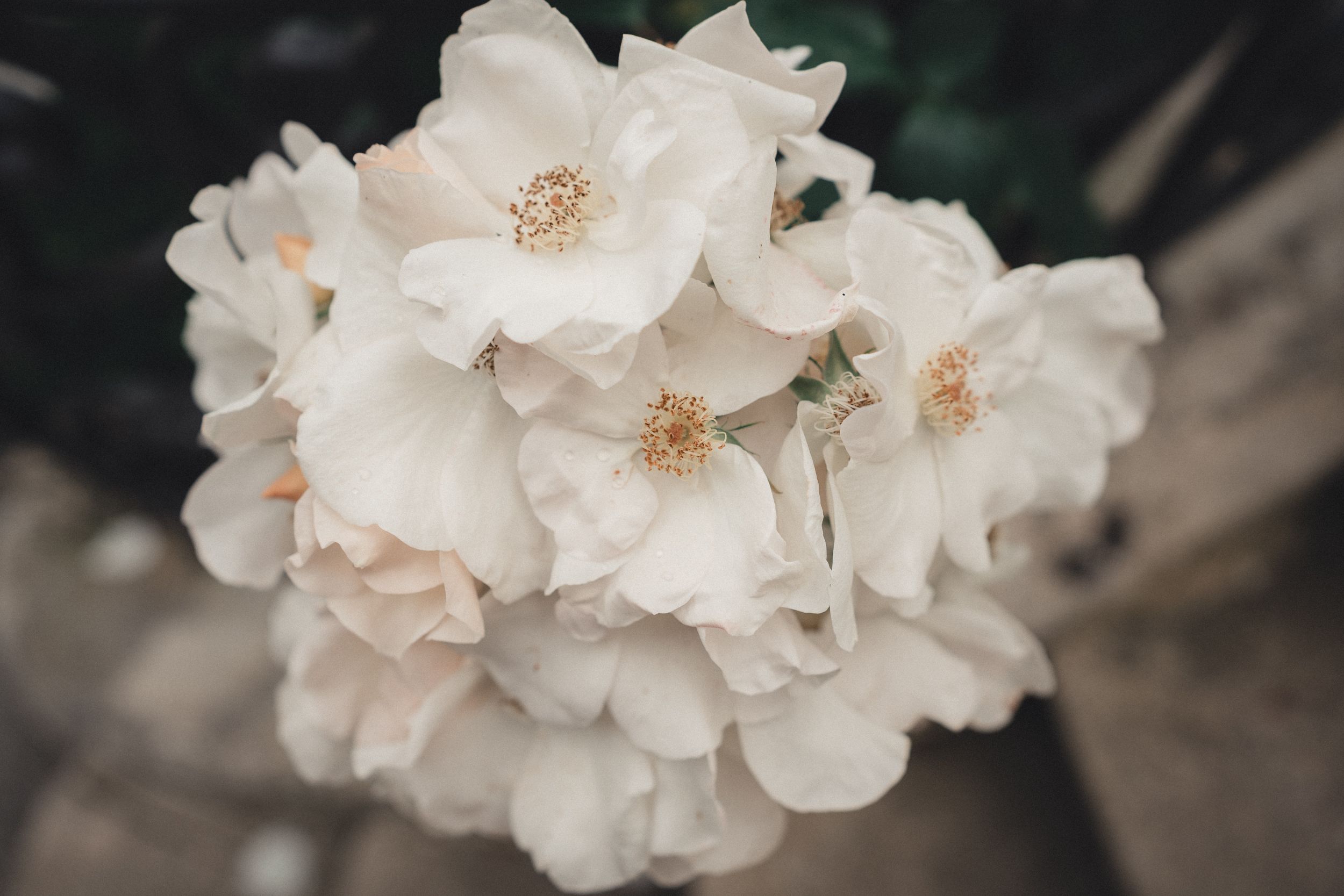 Gros plan d'une fleur blanche en bouquet pendant le cocktail vin d'honneur du mariage au chateau