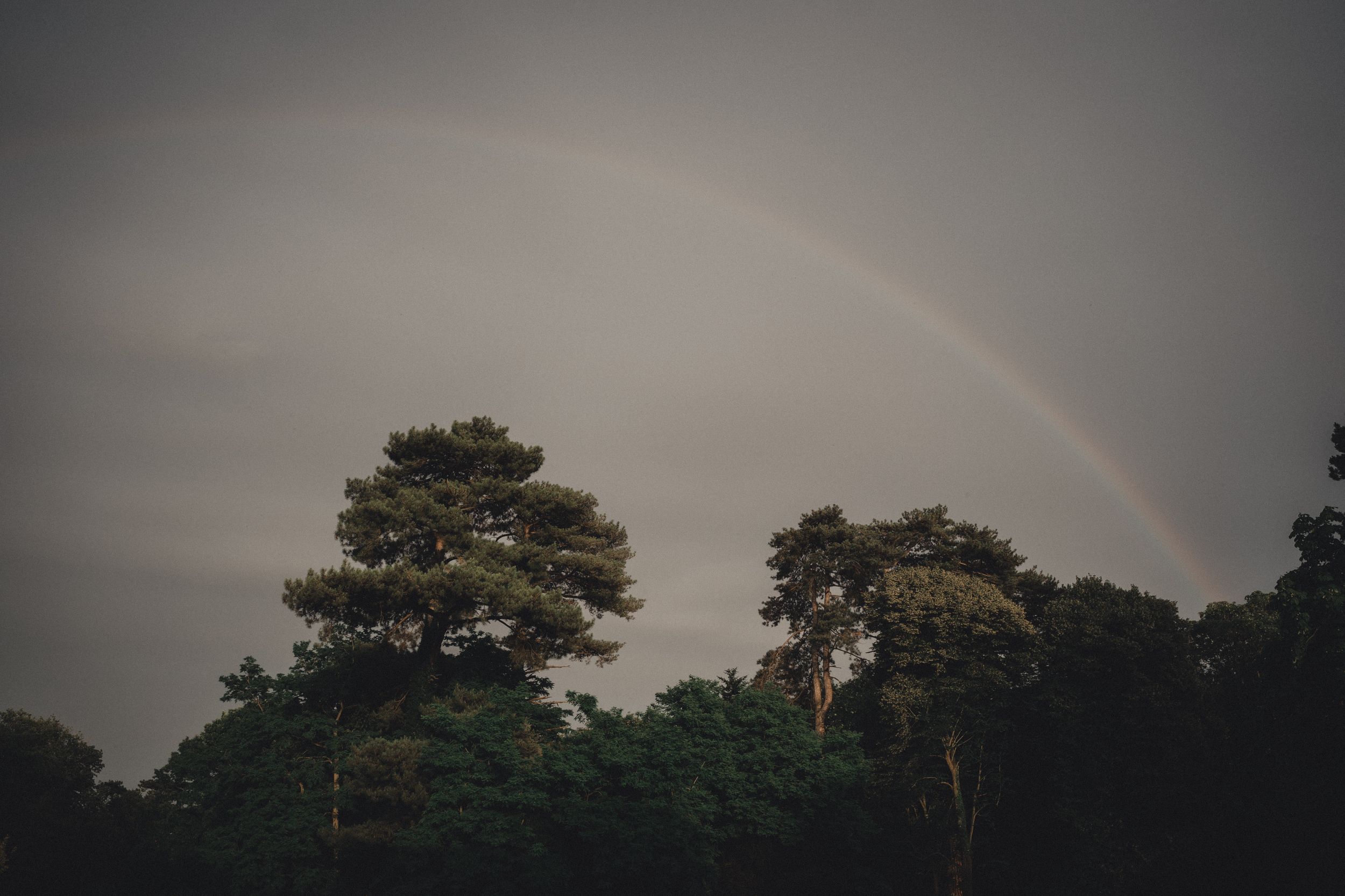 Arc en ciel apparait derrière les arbres pendant le mariage princesse dans un chateau, lumière de fin de journée