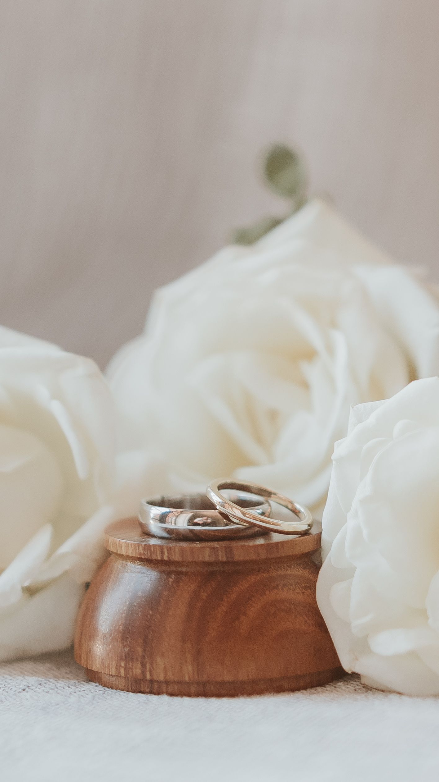 Wedding rings displayed on a wooden holder surrounded by white roses in soft focus.