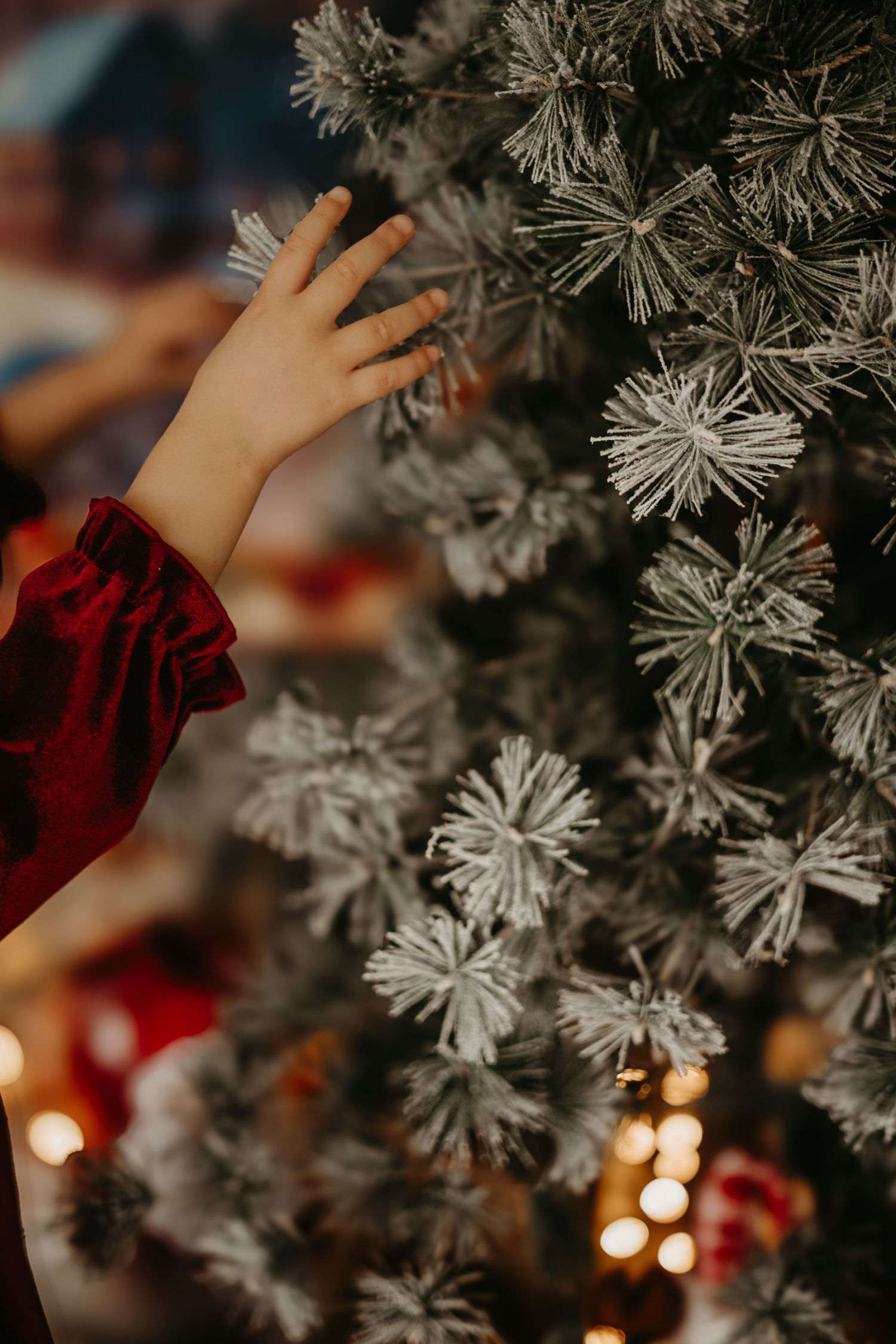 A small hand in a red sleeve reaches out to touch frosted Christmas tree branches.