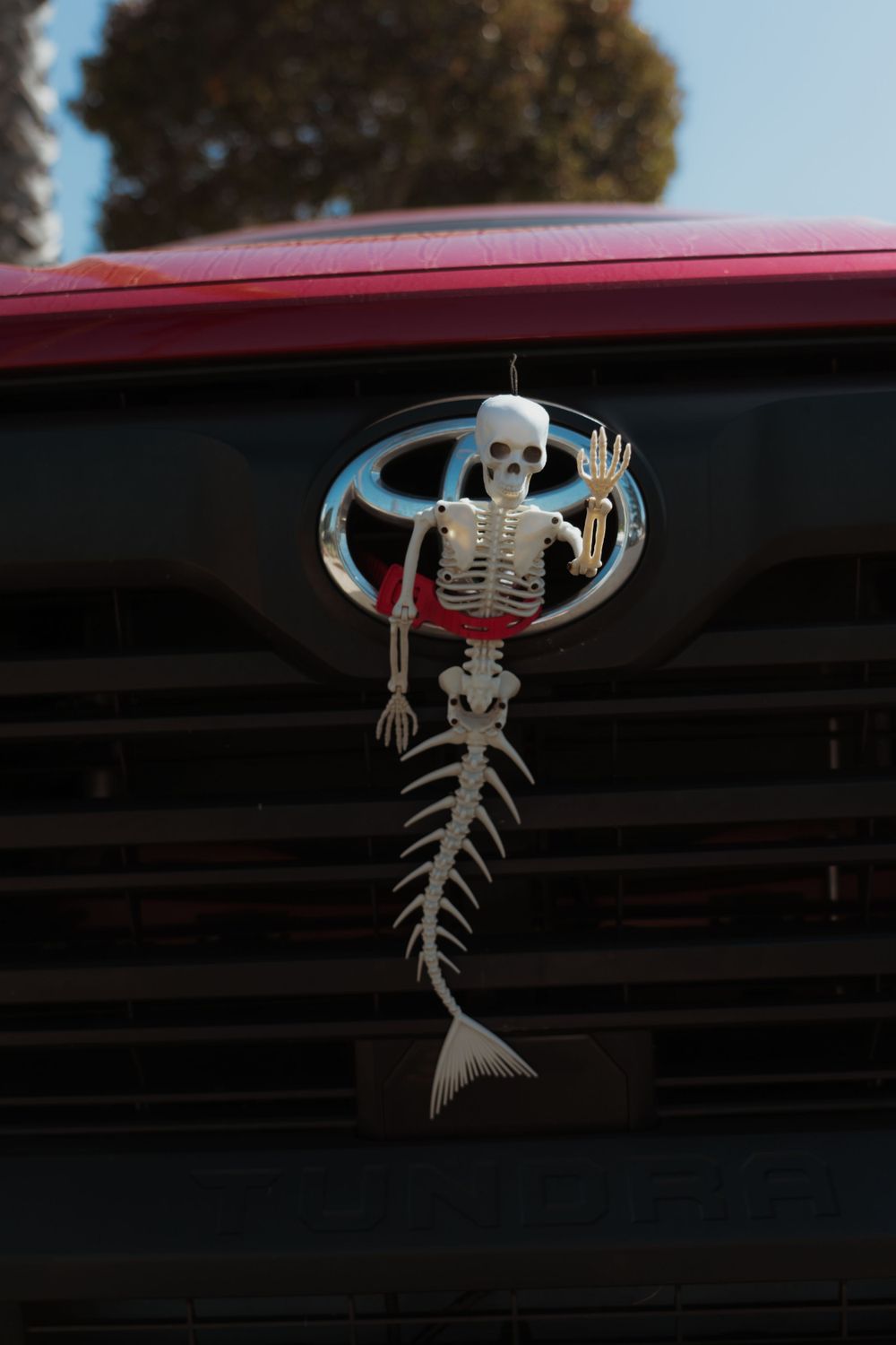 a mermaid skeleton tied to the grill of a truck