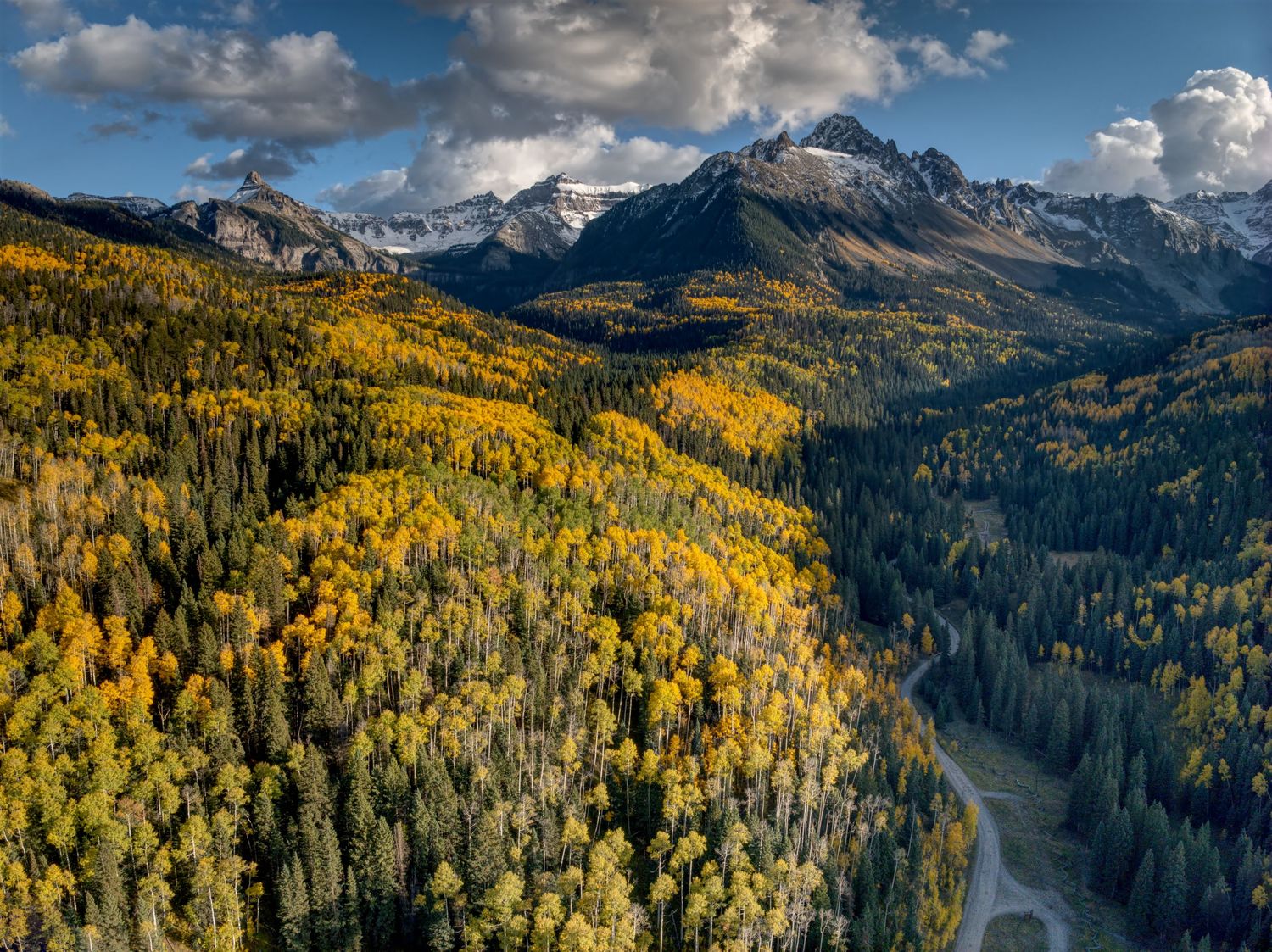 The fall colors and bright yellow aspen canopy of trees by a mountain range.