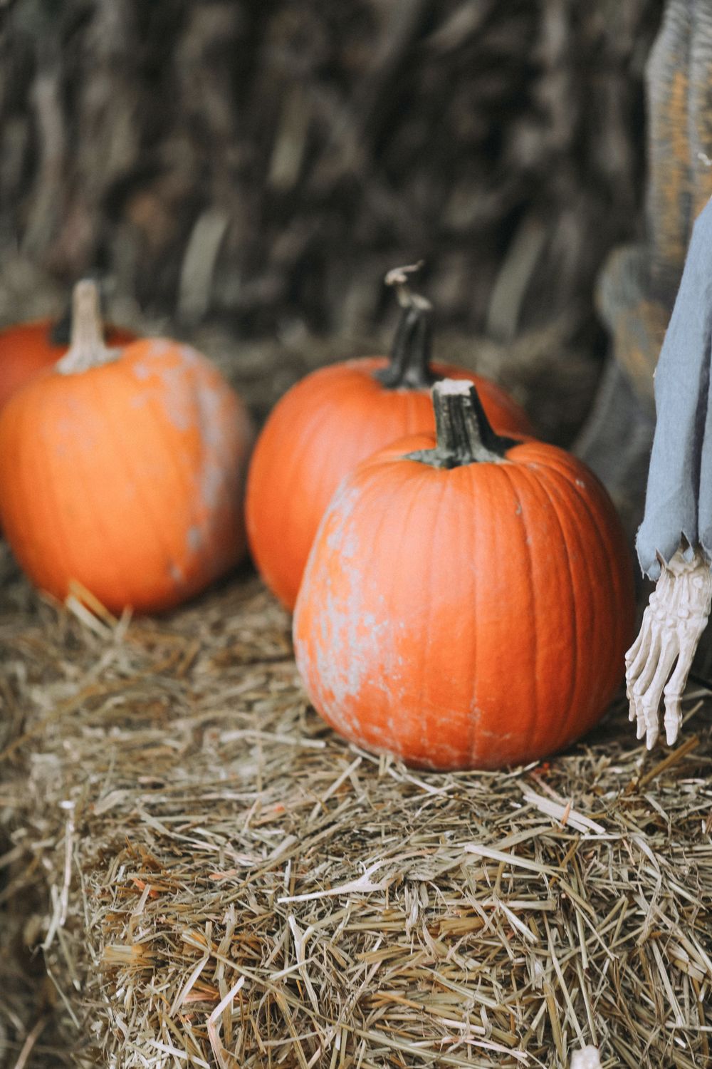 Three orange pumpkins displayed on hay bales in moody lighting.