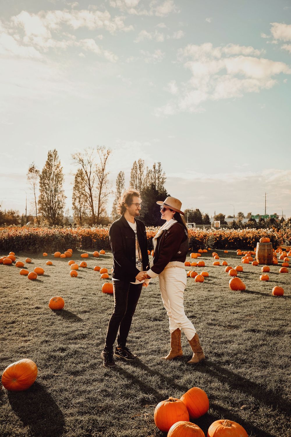 Romantic autumn scene in a pumpkin patch at sunset with scattered orange gourds.