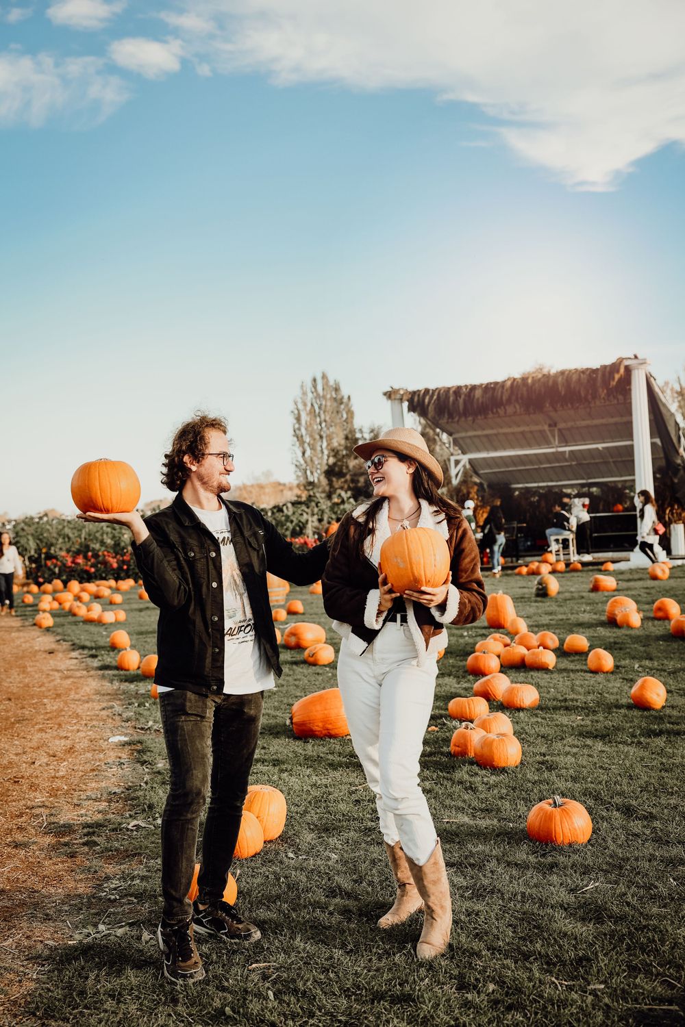 Autumn pumpkin patch scene with scattered gourds and rustic farm backdrop.