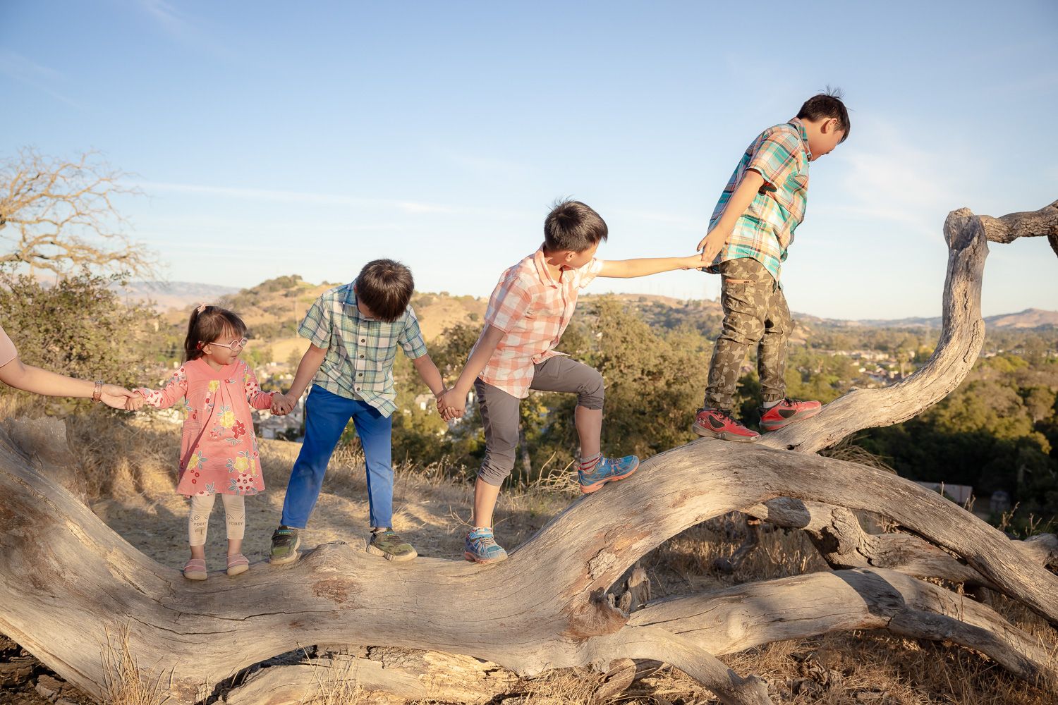 Kids walk along fallen tree at Guadalupe Oak Grove park in San Jose for photos with Bay Area Photographer Cindy Tucey