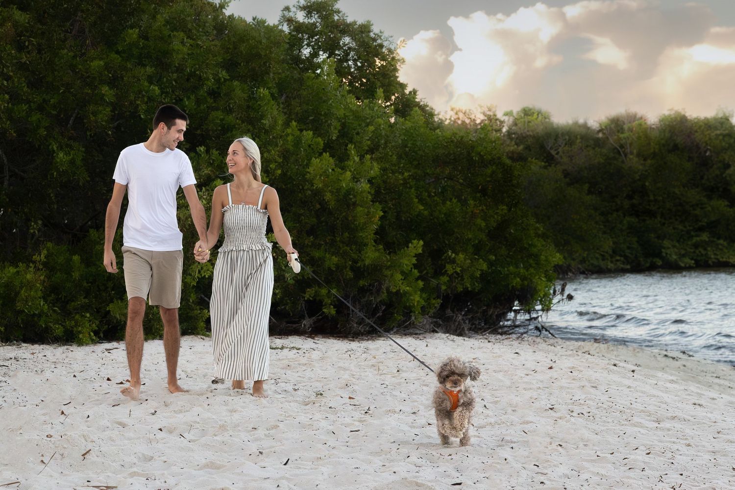 Couple walks small dog on leash along tropical beach at sunset.