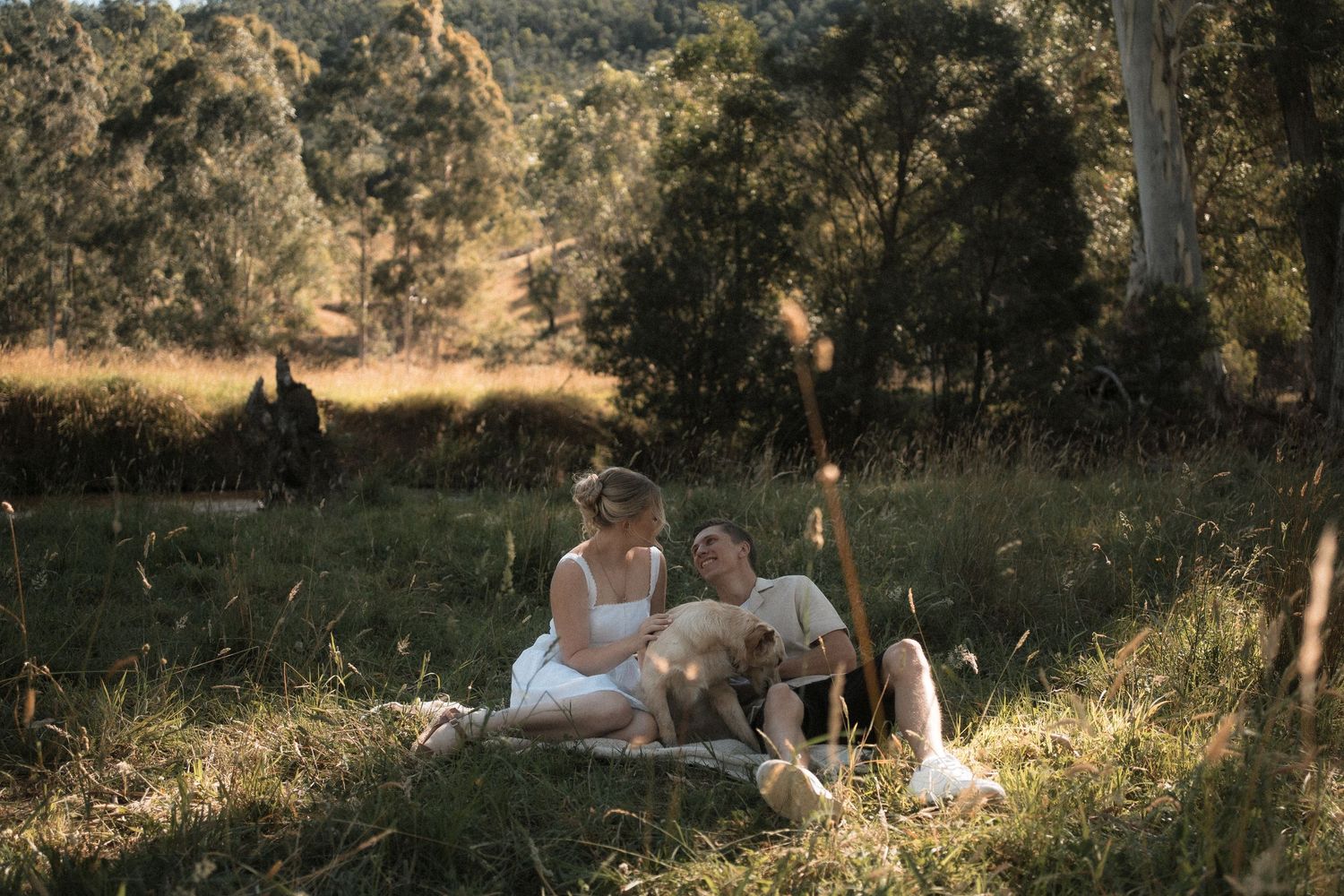 A couple walks through a serene eucalyptus grove at sunset with golden light filtering through the trees.
